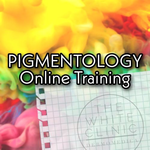 Pigmentology and Colour Correction Online Training